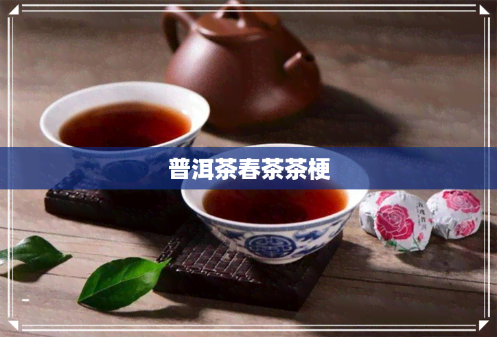 普洱茶春茶茶梗