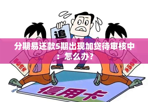 分期易还款5期出现加贷待审核中：怎么办？