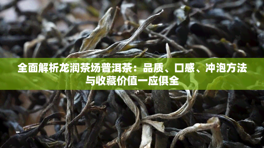 全面解析龙润茶场普洱茶：品质、口感、冲泡方法与收藏价值一应俱全