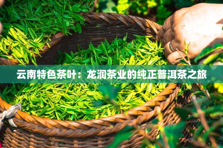 云南特色茶叶：龙润茶业的纯正普洱茶之旅