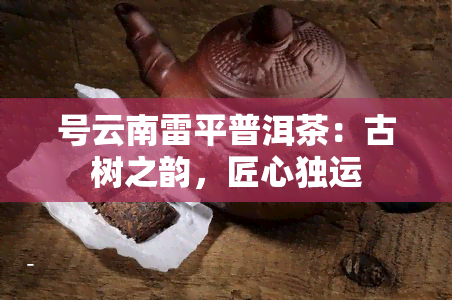 号云南雷平普洱茶：古树之韵，匠心独运