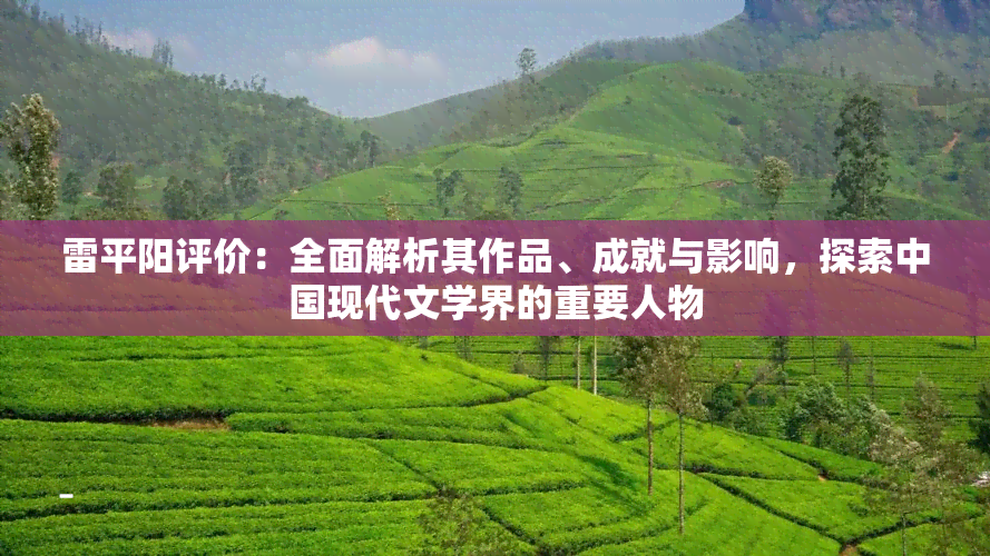 雷平阳评价：全面解析其作品、成就与影响，探索中国现代文学界的重要人物