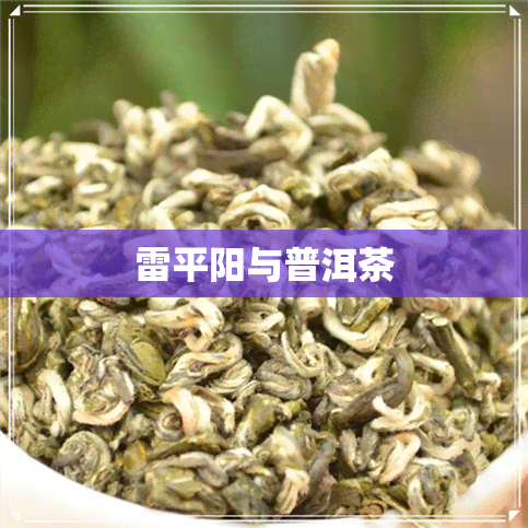 雷平阳与普洱茶