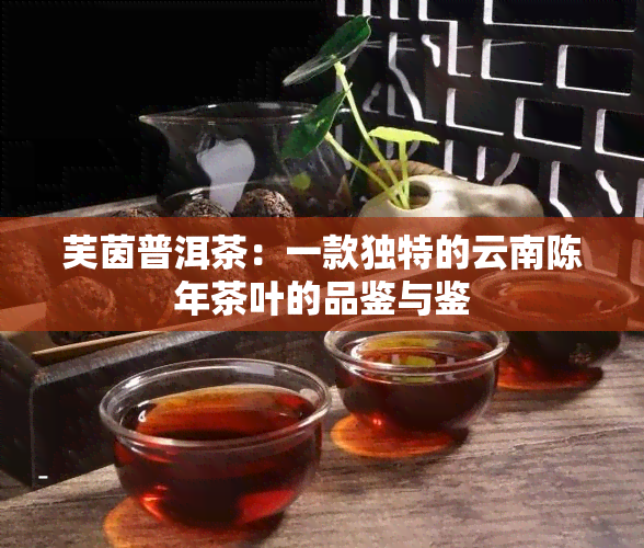 芙茵普洱茶：一款独特的云南陈年茶叶的品鉴与鉴