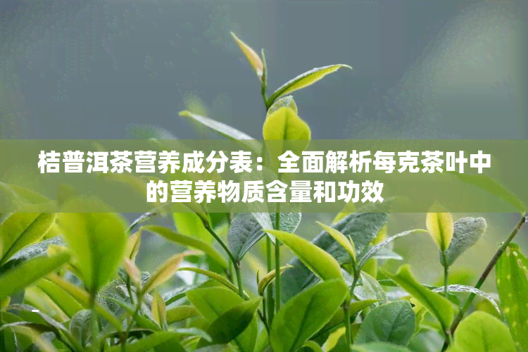 桔普洱茶营养成分表：全面解析每克茶叶中的营养物质含量和功效