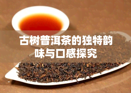 古树普洱茶的独特韵味与口感探究