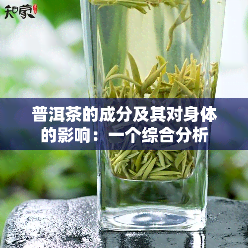 普洱茶的成分及其对身体的影响：一个综合分析