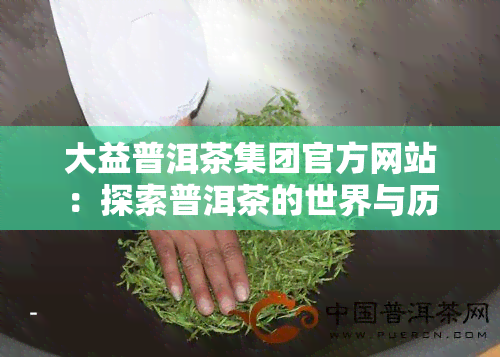 大益普洱茶集团官方网站：探索普洱茶的世界与历