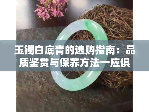 玉镯白底青的选购指南：品质鉴赏与保养方法一应俱全