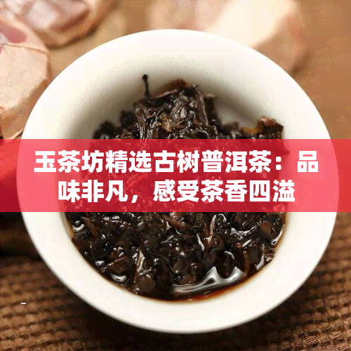 玉茶坊精选古树普洱茶：品味非凡，感受茶香四溢