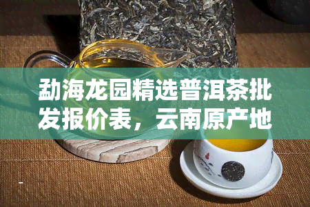 勐海龙园精选普洱茶批发报价表，云南原产地新茶叶最新价格