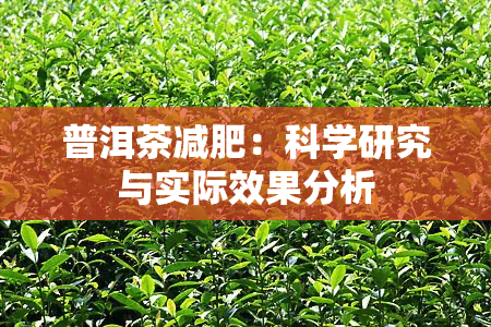 普洱茶减肥：科学研究与实际效果分析