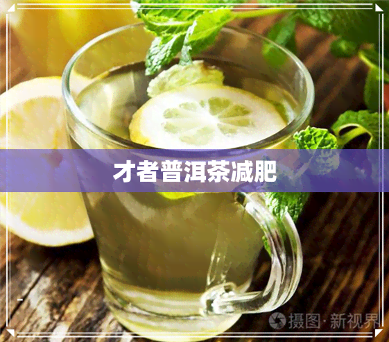 才者普洱茶减肥