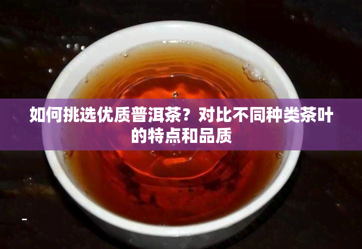 如何挑选优质普洱茶？对比不同种类茶叶的特点和品质