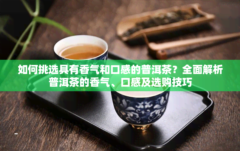 如何挑选具有香气和口感的普洱茶？全面解析普洱茶的香气、口感及选购技巧