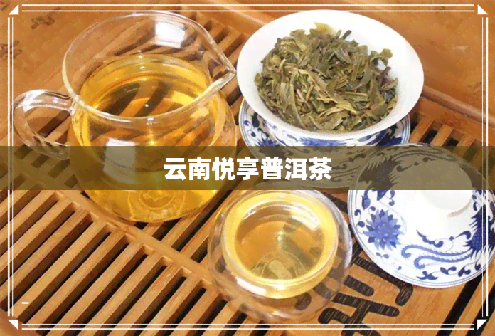 云南悦享普洱茶