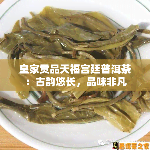 皇家贡品天福宫廷普洱茶：古韵悠长，品味非凡