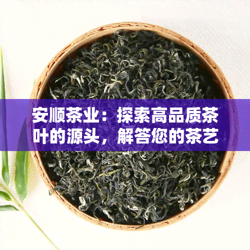 安顺茶业：探索高品质茶叶的源头，解答您的茶艺疑问与需求