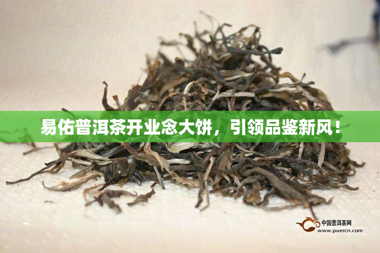 易佑普洱茶开业念大饼，引领品鉴新风！