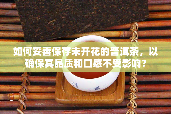 如何妥善保存未开花的普洱茶，以确保其品质和口感不受影响？