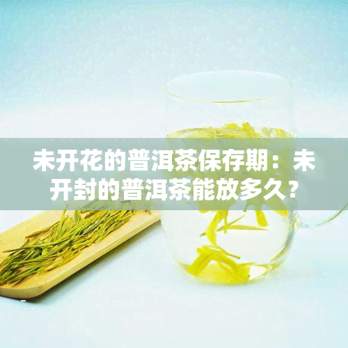 未开花的普洱茶保存期：未开封的普洱茶能放多久？