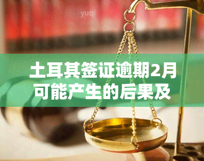 土耳其签证逾期2月可能产生的后果及罚款信息汇总