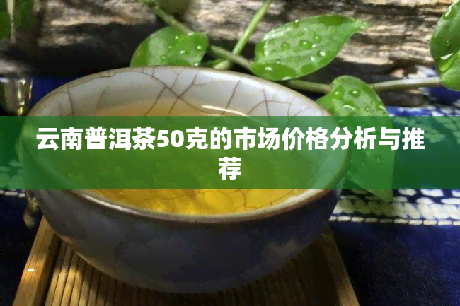 云南普洱茶50克的市场价格分析与推荐