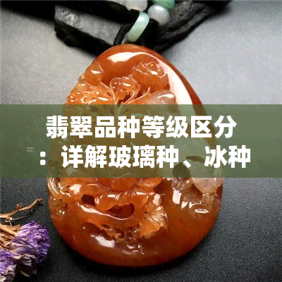 翡翠品种等级区分：详解玻璃种、冰种与芙蓉种等不同档次的品质特征