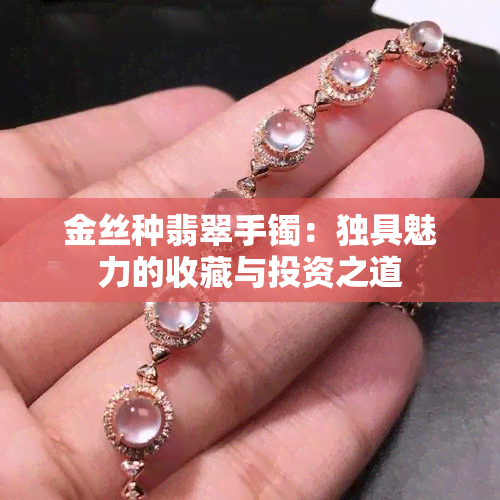 金丝种翡翠手镯：独具魅力的收藏与投资之道