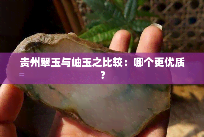 贵州翠玉与岫玉之比较：哪个更优质？