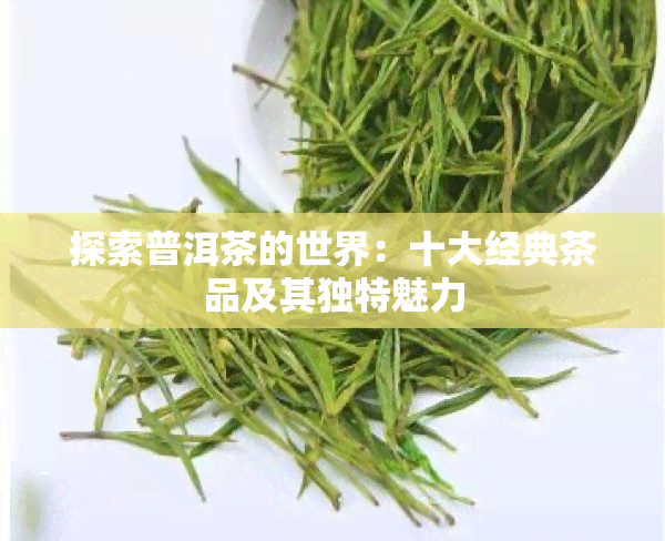 探索普洱茶的世界：十大经典茶品及其独特魅力