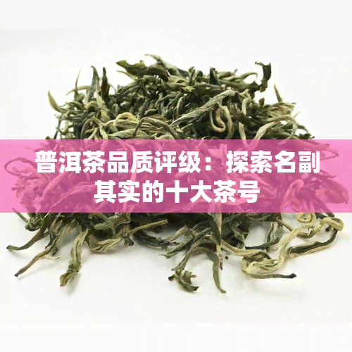 普洱茶品质评级：探索名副其实的十大茶号