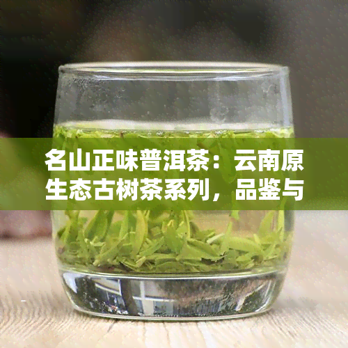 名山正味普洱茶：云南原生态古树茶系列，品鉴与收藏的极致之选