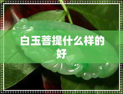 白玉菩提什么样的好