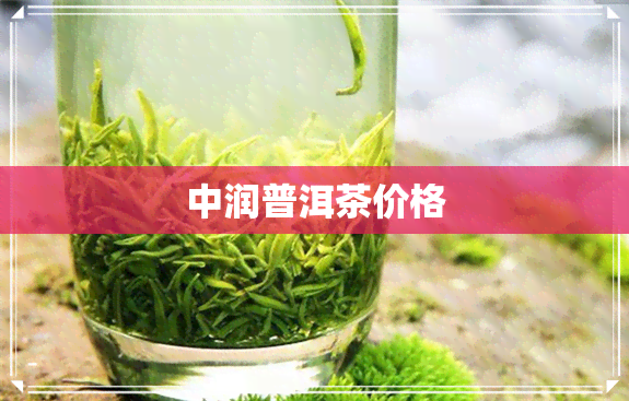 中润普洱茶价格