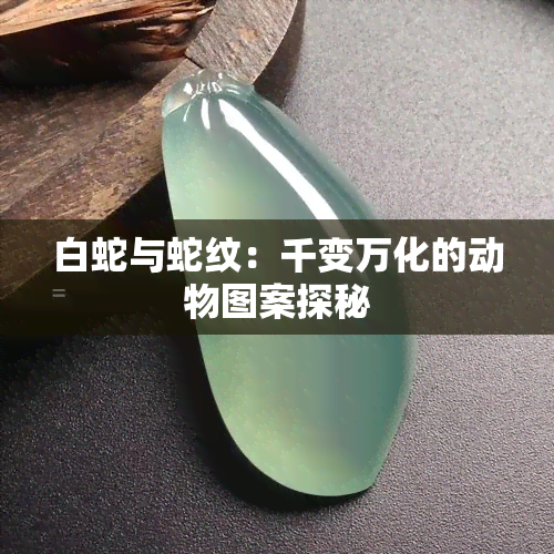 白蛇与蛇纹：千变万化的动物图案探秘