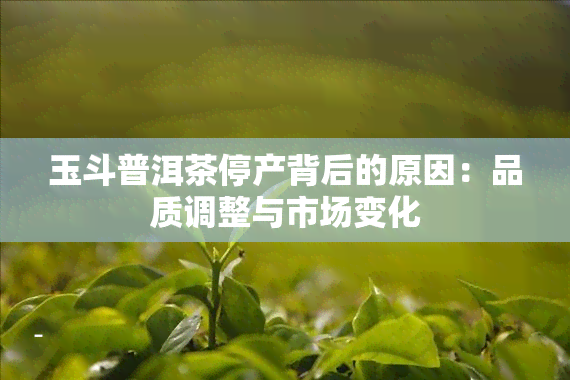 玉斗普洱茶停产背后的原因：品质调整与市场变化