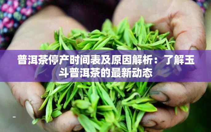 普洱茶停产时间表及原因解析：了解玉斗普洱茶的最新动态