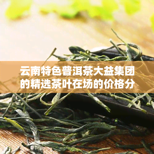 云南特色普洱茶大益集团的精选茶叶在场的价格分析