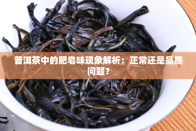 普洱茶中的肥皂味现象解析：正常还是品质问题？