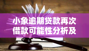 小象逾期贷款再次借款可能性分析及相关咨询