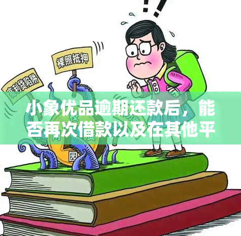 小象优品逾期还款后，能否再次借款以及在其他平台借钱？现在应该如何处理？