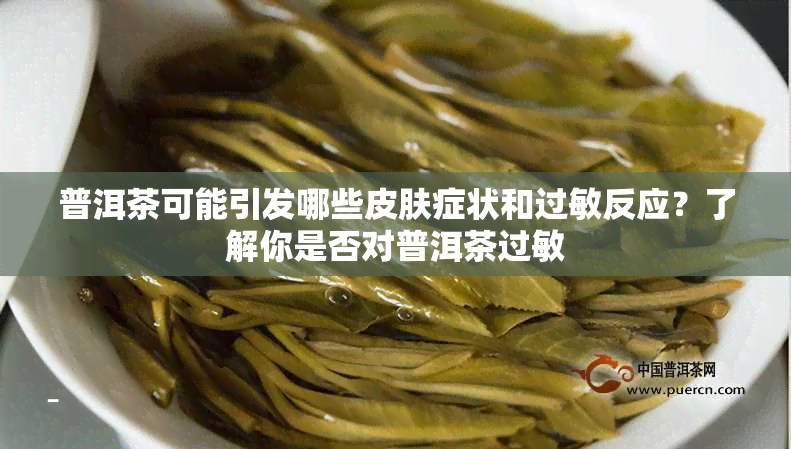 普洱茶可能引发哪些皮肤症状和过敏反应？了解你是否对普洱茶过敏