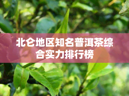 北仑地区知名普洱茶综合实力排行榜