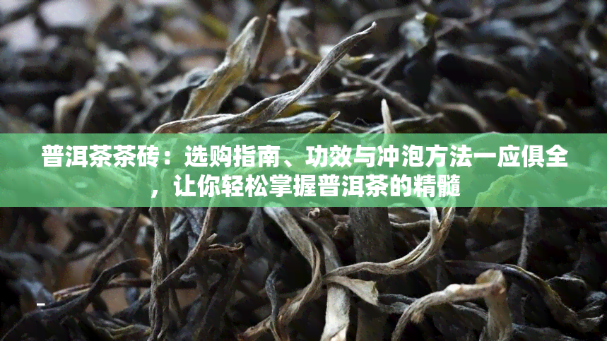 普洱茶茶砖：选购指南、功效与冲泡方法一应俱全，让你轻松掌握普洱茶的精髓