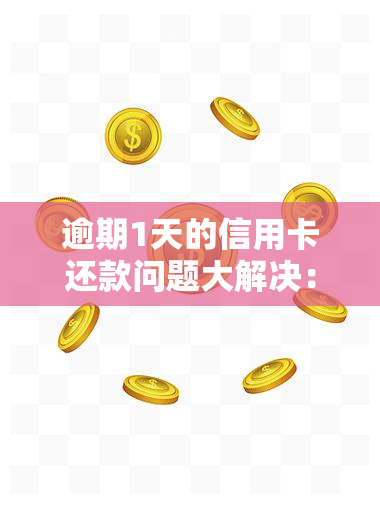 逾期1天的信用卡还款问题大解决：贷款攻略大全