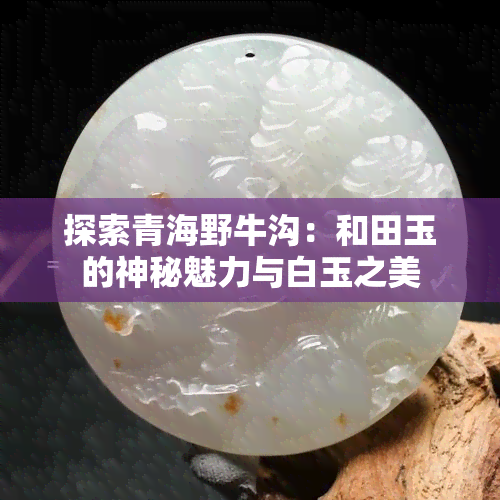 探索青海野牛沟：和田玉的神秘魅力与白玉之美