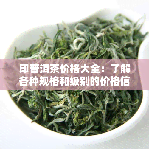 印普洱茶价格大全：了解各种规格和级别的价格信息，助您轻松选购