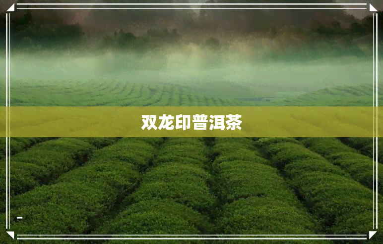 双龙印普洱茶