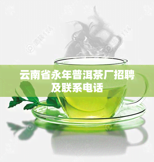 云南省永年普洱茶厂招聘及联系电话